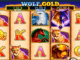 Wolf Gold