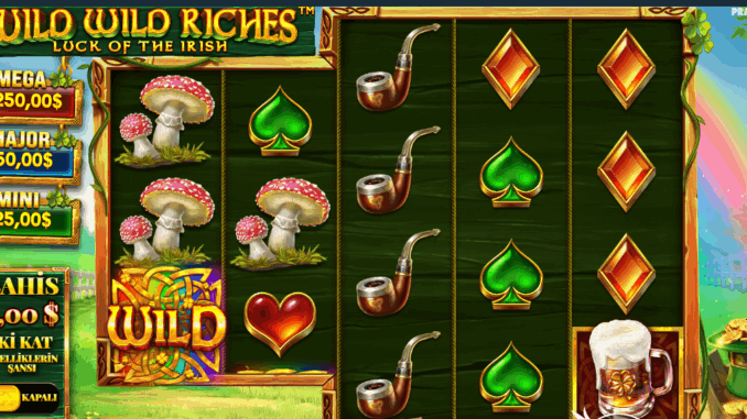 Wild Wild Riches Wild Wild Riches
