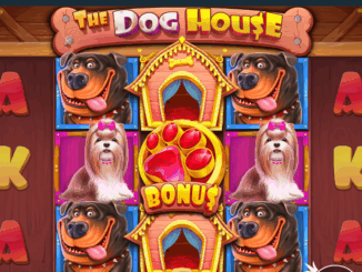 The Dog House